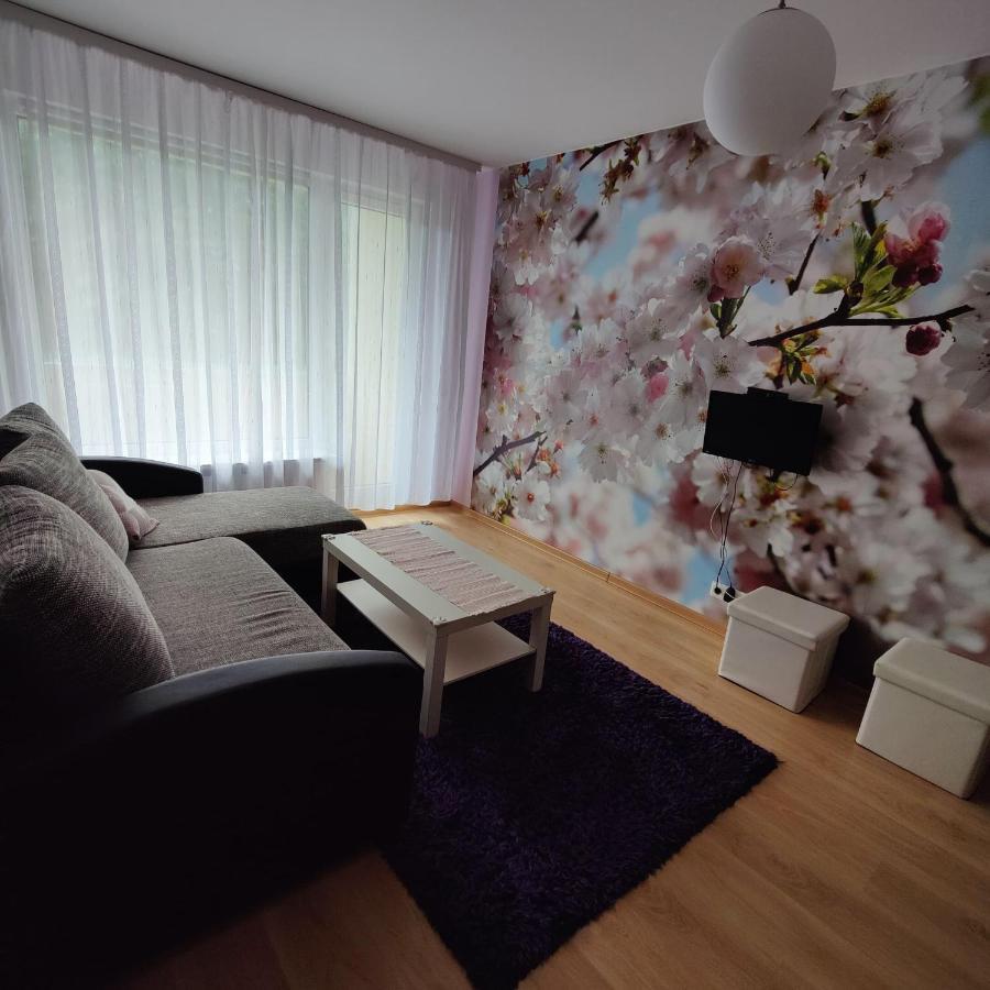 Dainai Apartament Шяуляй Экстерьер фото